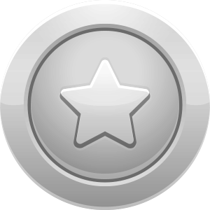 Starter plan silver coin icon
